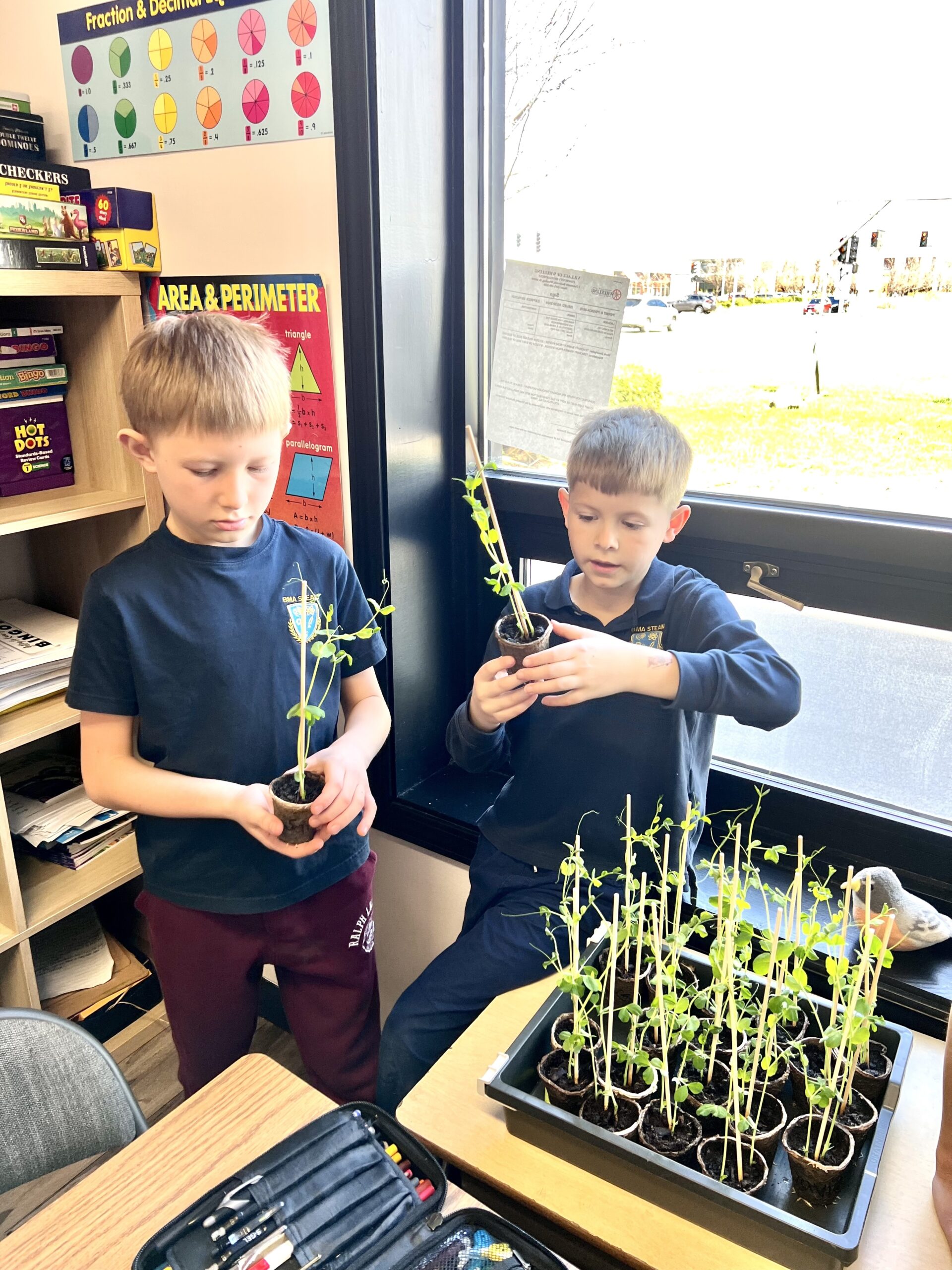Science labs at Blooming Minds